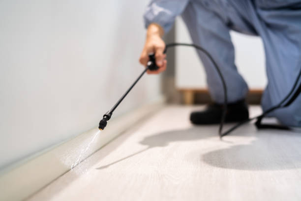 Licensed Pest Control service in Bismarck, ND - Show Me Pest Control