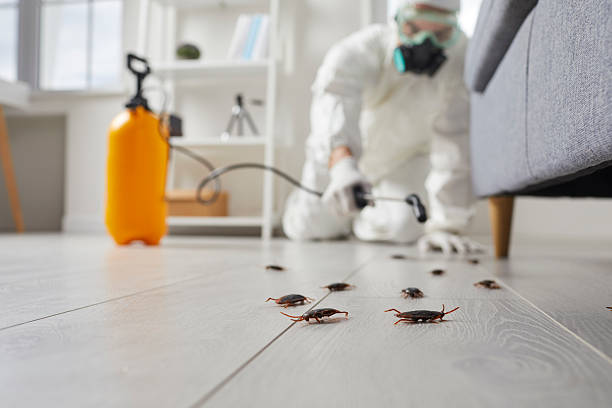 Post-Treatment Bed Bug Interceptor Monitoring in Bismarck